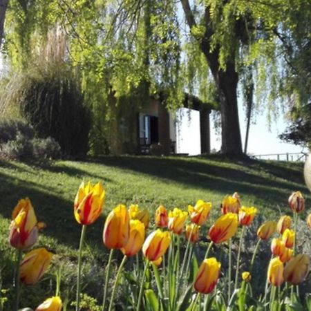 Villa Agriturismo Quartopodere à Magliano in Toscana Extérieur photo