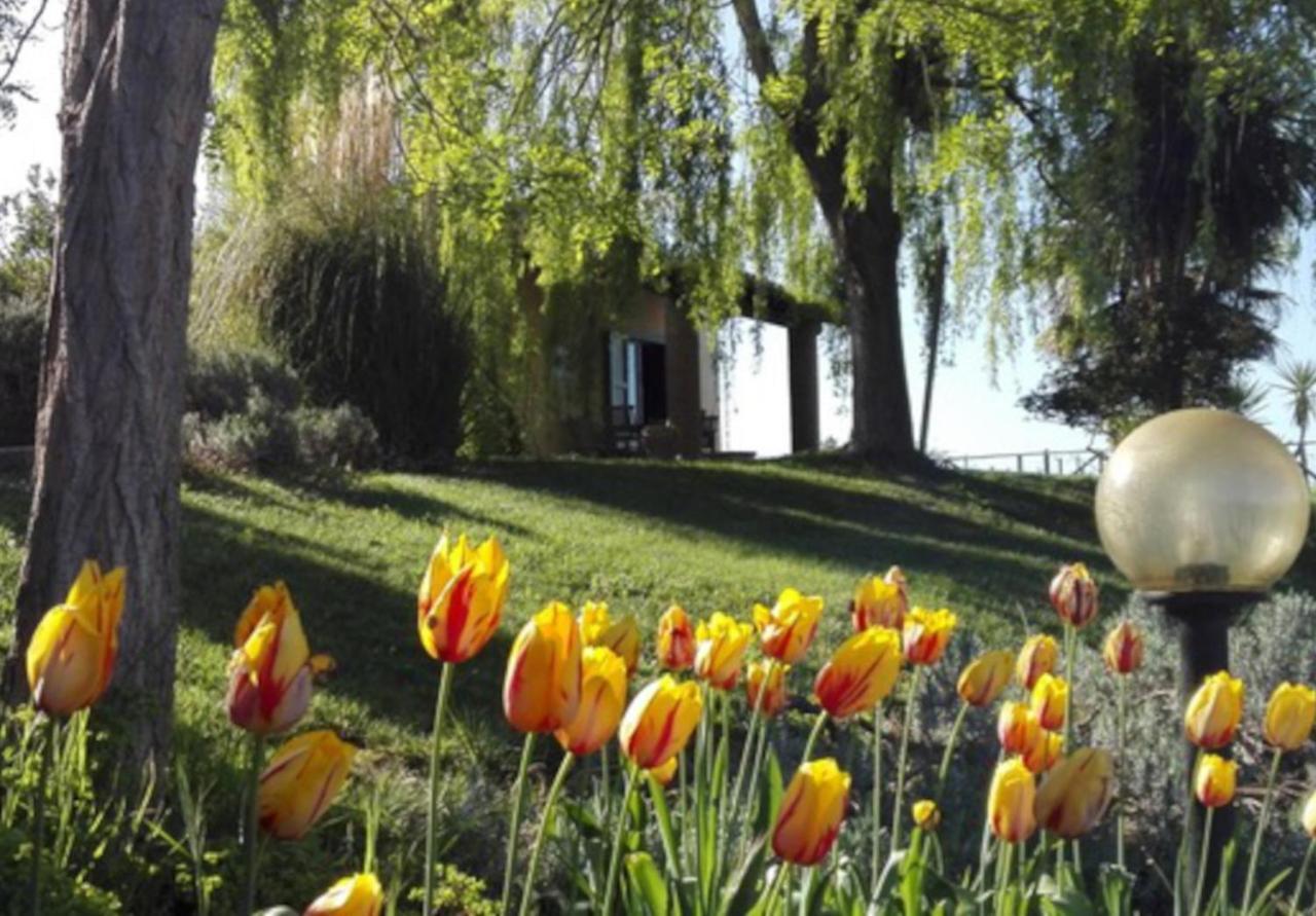 Villa Agriturismo Quartopodere à Magliano in Toscana Extérieur photo