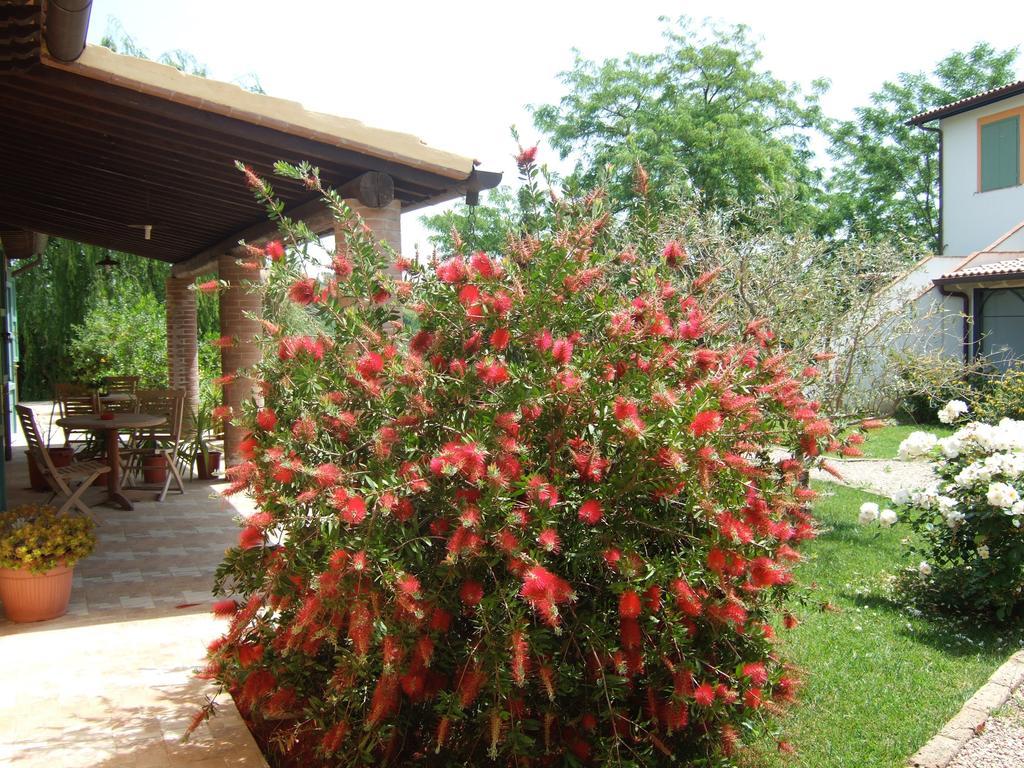 Villa Agriturismo Quartopodere à Magliano in Toscana Extérieur photo